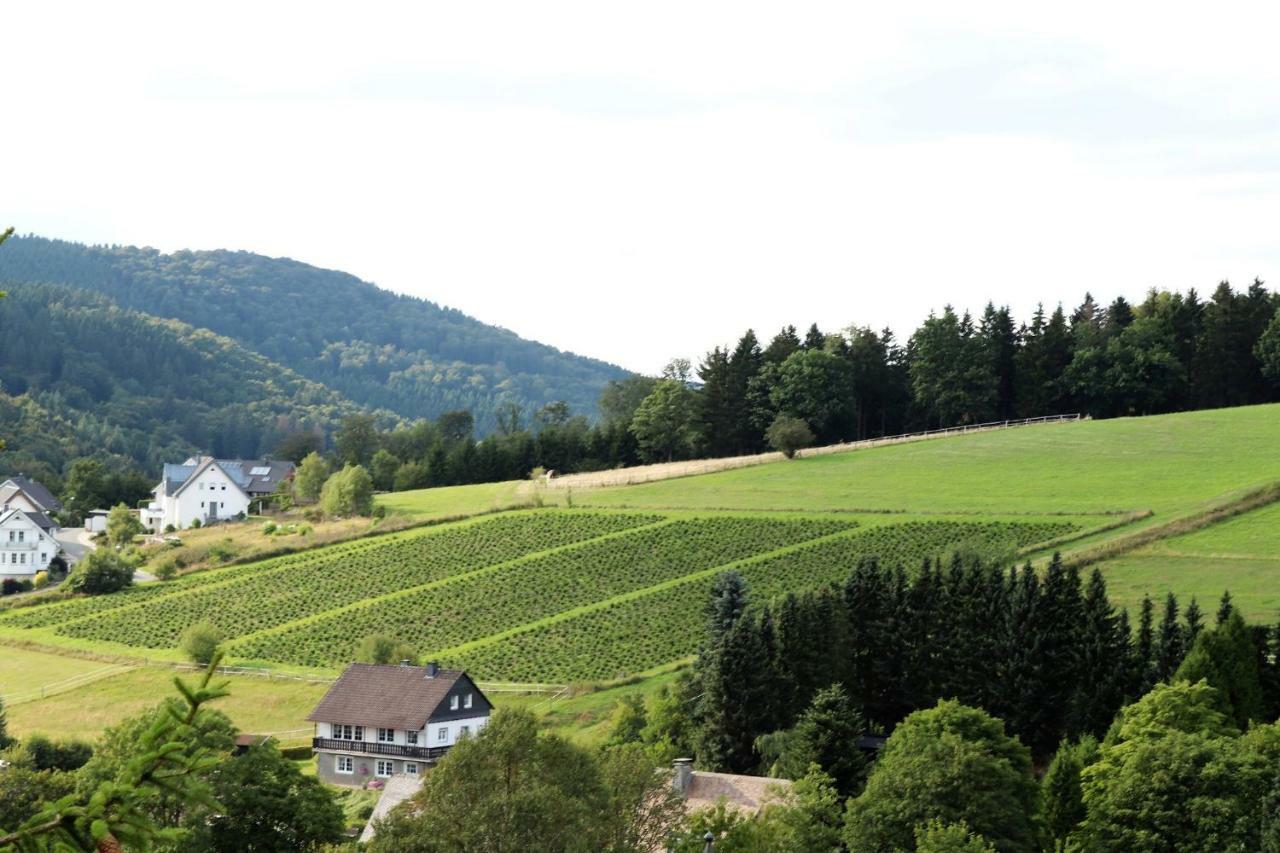 Hotel Gretel Von Birne à Winterberg Extérieur photo